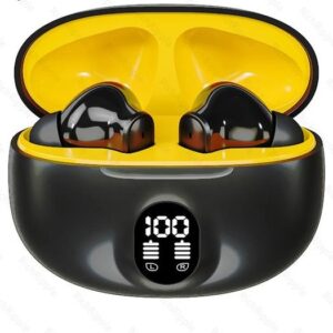 Earphones